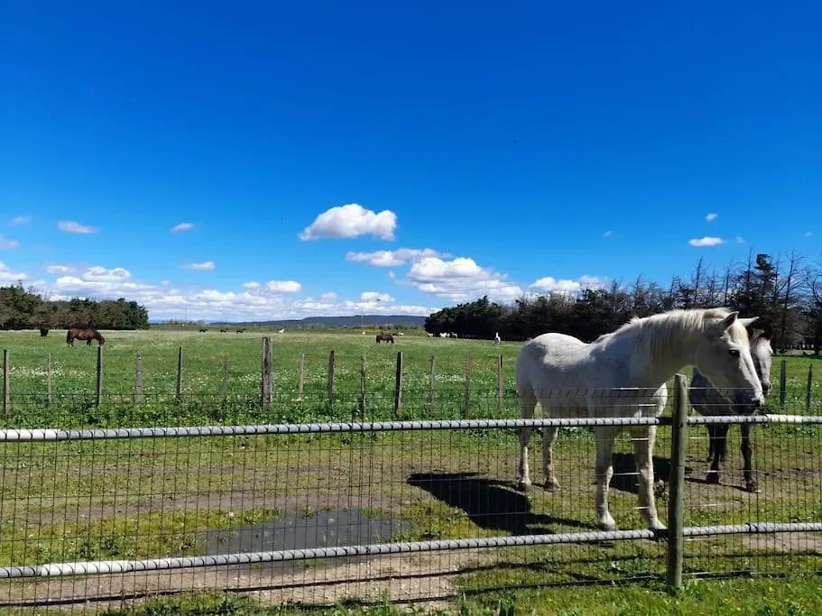 Ancien Couvent Avec Piscine Entre Alpilles Et Camargue Pour 10 Personnes Villa Arles 0*,
