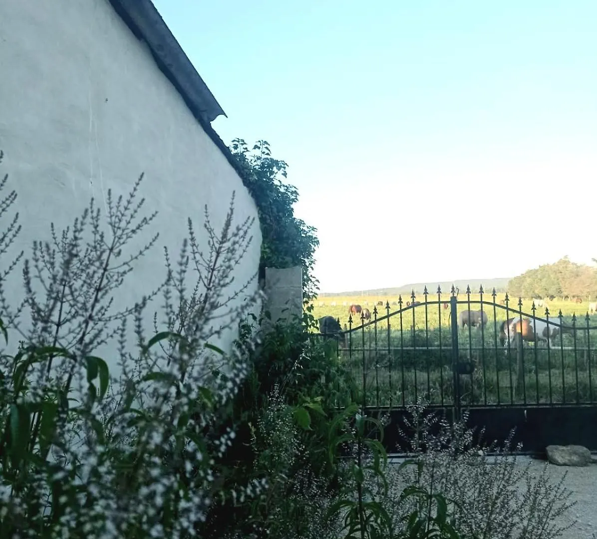 Ancien Couvent Avec Piscine Entre Alpilles Et Camargue Pour 10 Personnes Villa Arles Frankrijk